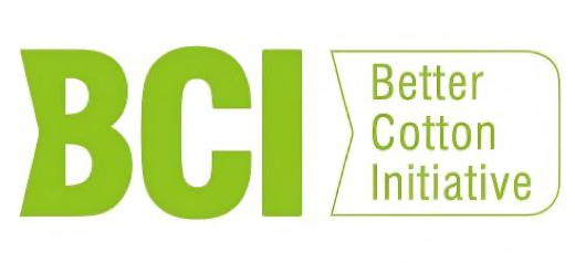 BCI